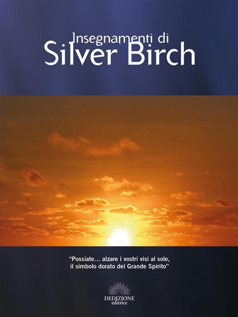 Big bigCover of Insegnamenti di Silver Birch