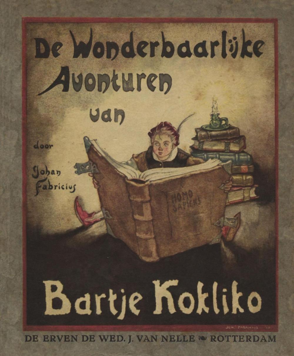 Big bigCover of De wonderbaarlijke avonturen van Bartje Kokliko