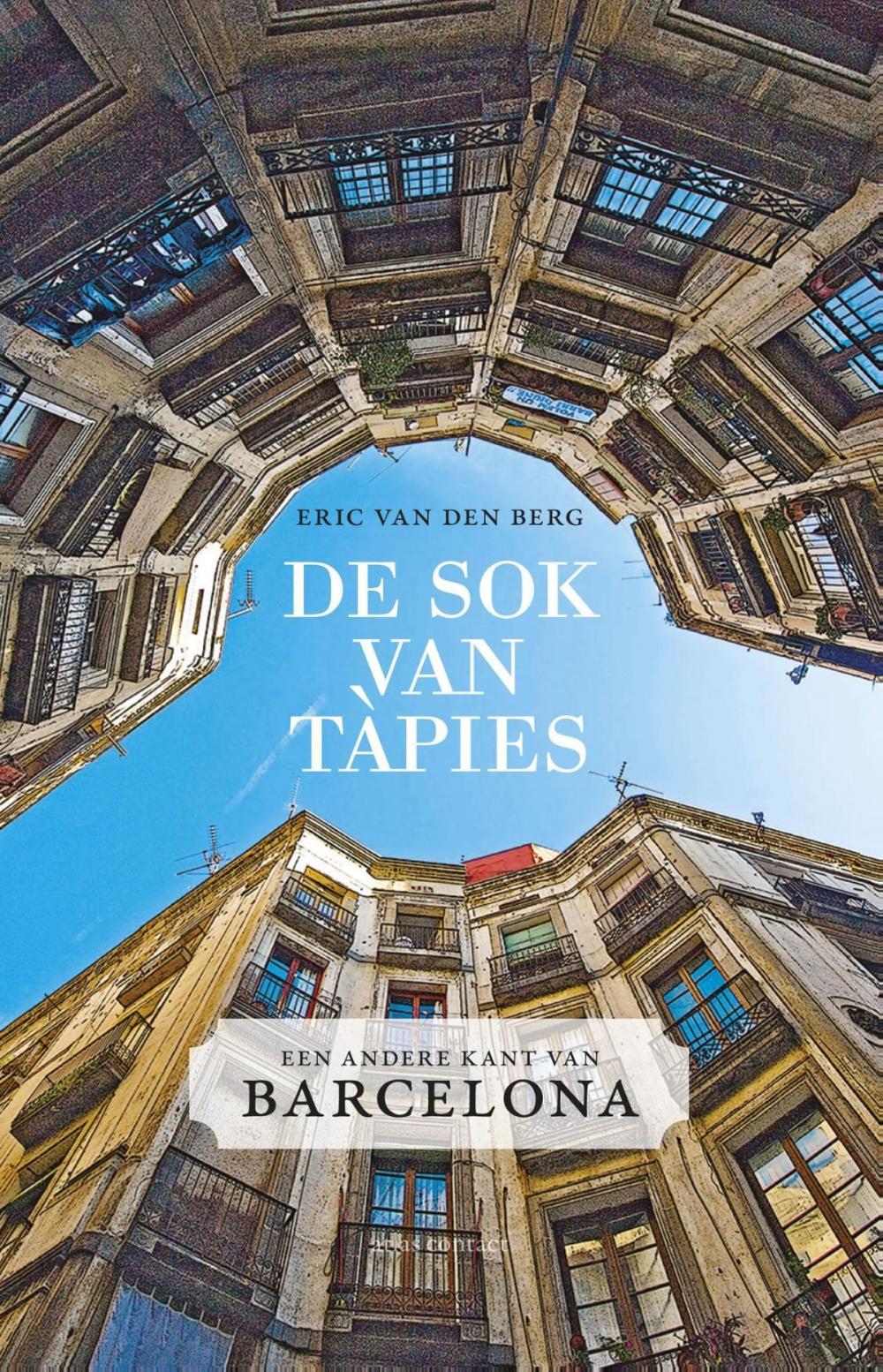 Big bigCover of De sok van Tapies