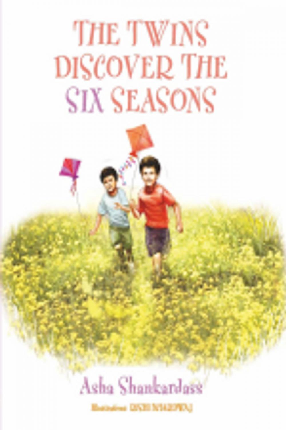 Big bigCover of THE TWINS DISCOVER THE SIX SEASONS