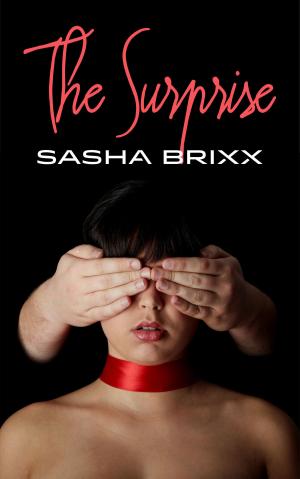 Cover of the book The Surprise by Melissa Combs