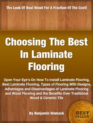 Cover of the book Choosing The Best In Laminate Flooring by Geoffrey McFee