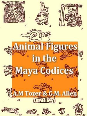 Cover of the book Animal Figures in the Maya Codices by Henry W. Stelwagon