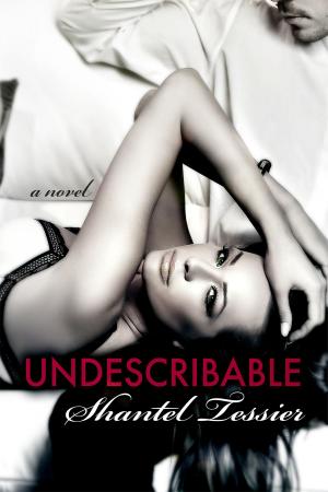 Cover of Undescribable