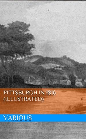 bigCover of the book Pittsburgh in 1816 (Illustrated) by 