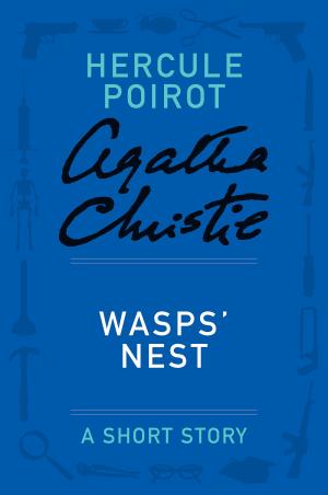 Cover of the book Wasps' Nest by Judi Culbertson