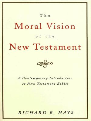 Book cover of The Moral Vision of the New Testament