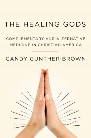 Cover of the book The Healing Gods by Natana DeLong-Bas