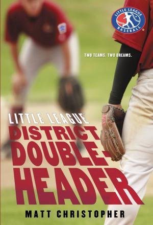 Cover of the book District Doubleheader by Peter Brown