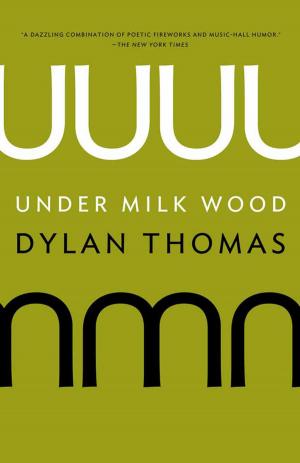 Cover of the book Under Milk Wood by Romain Gary