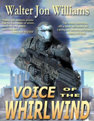 Cover of the book Voice of the Whirlwind by Jonathan Carreau