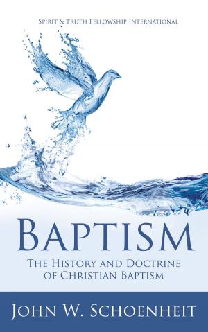Book cover of Baptism
