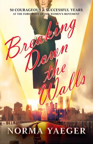 Cover of the book Breaking Down the Walls by Gavin Webber