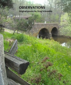 bigCover of the book Observations by 