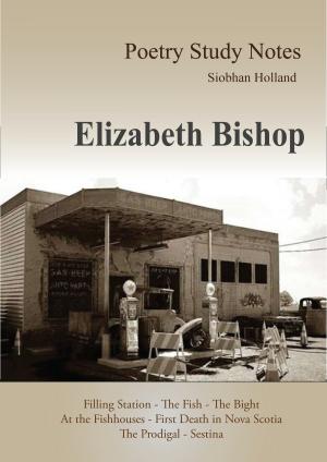 Book cover of Poetry Study Notes: Elizabeth Bishop