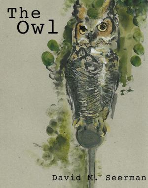 Cover of the book The Owl by Gus Leodas