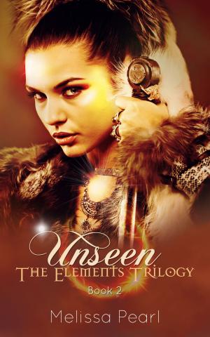 Cover of the book Unseen by Nicolle Shield