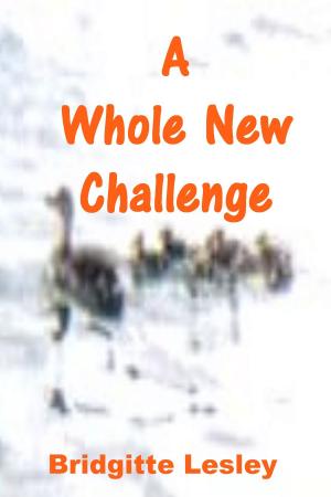 bigCover of the book A Whole New Challenge by 
