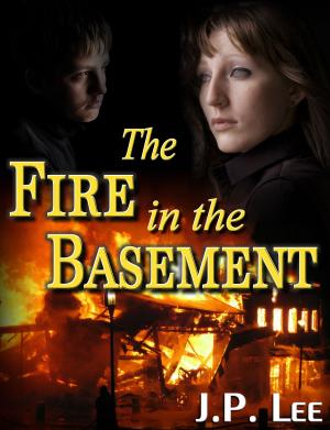 Cover of the book The Fire in the Basement by Evi Parker