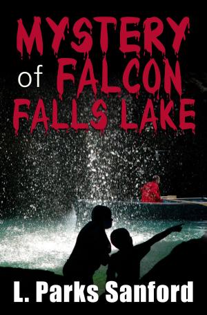 Cover of the book The Mystery of Falcon Falls Lake by David J. Crawford