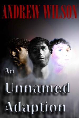 Cover of the book An Unnamed Adaption by Derrolyn Anderson