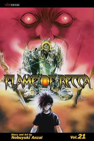 Cover of the book Flame of Recca, Vol. 21 by Arina Tanemura