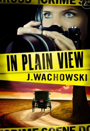 Cover of the book In Plain View by Leah Braemel