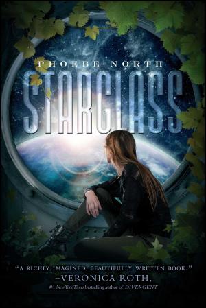 Cover of the book Starglass by Heather W. Petty