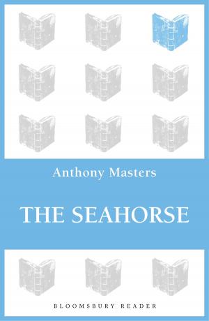 Cover of the book The Seahorse by Terry Deary