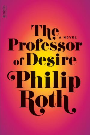 Cover of the book The Professor of Desire by Rosellen Brown