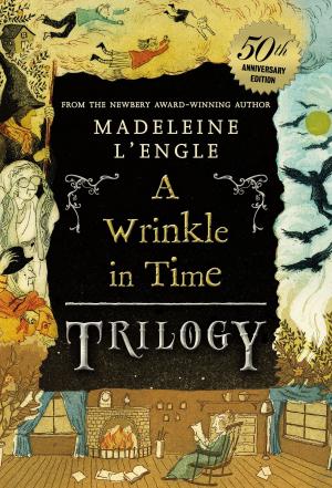 Cover of the book A Wrinkle in Time Trilogy by Marjorie Flack