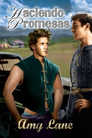 Book cover of Haciendo Promesas