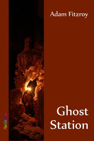 bigCover of the book Ghost Station by 