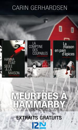Cover of the book Meurtres à Hammarby by Nicolas GRIMALDI