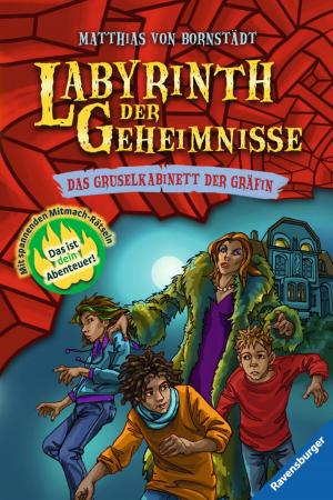 Cover of the book Labyrinth der Geheimnisse 2: Das Gruselkabinett der Gräfin by Hermann Vinke