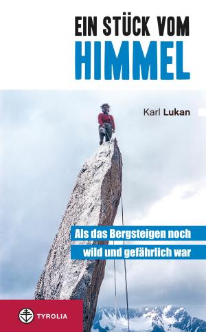 Book cover of Ein Stück vom Himmel