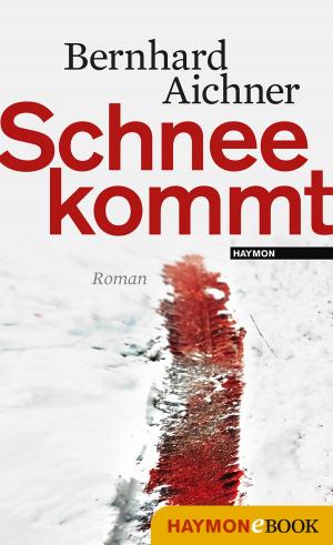 Cover of the book Schnee kommt by Hans Salcher