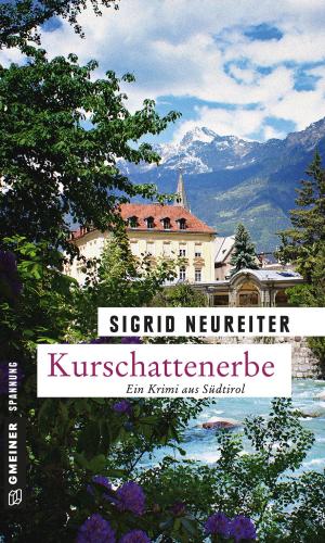 Cover of the book Kurschattenerbe by Reinhard Pelte