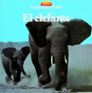 Cover of the book El elefante by Aede De Groot, Gonzalo Blay Llinares, Arie-Wim Anton Koert
