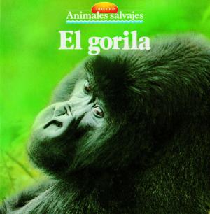 Cover of the book El gorila by Isidro Sánchez