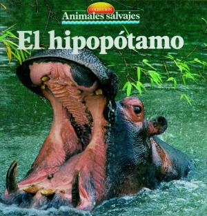 Cover of the book El hipopótamo by Rocío Cárceles Moreno, Francesc Cos Morera