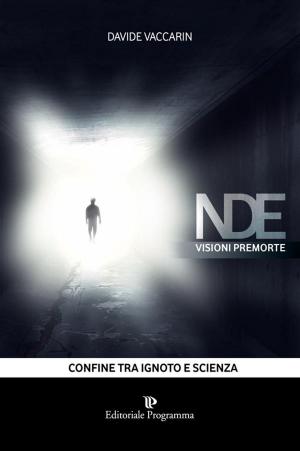 Cover of the book NDE Visioni Premorte by Laura Liina Fantozzi