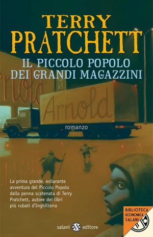 Cover of the book Il piccolo popolo dei grandi magazzini by Lemony Snicket