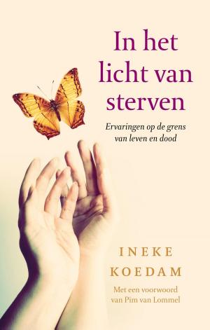 Cover of the book In het licht van sterven by Greetje van den Berg