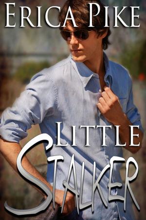 Cover of the book Little Stalker by Chris P. Rolls