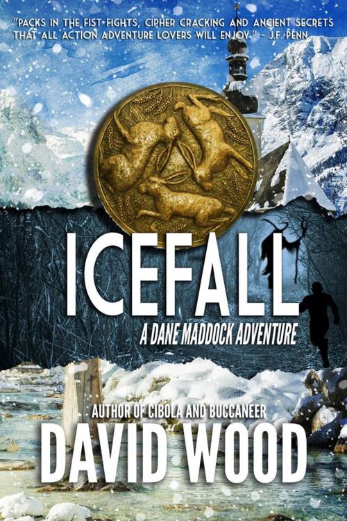 Cover of the book Icefall by David Wood, Adrenaline Press