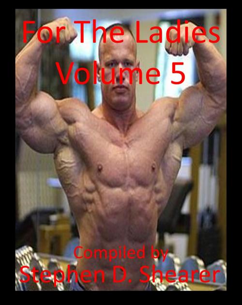 Cover of the book For The Ladies Volume 5 by Stephen Shearer, Butchered Tree Productions