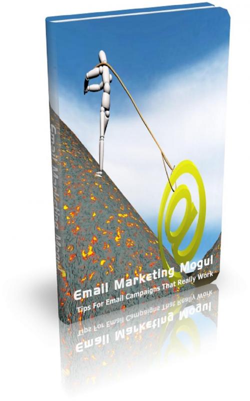 Cover of the book Email Marketing Mogul by Jimmy Cai, Stark  Publishing