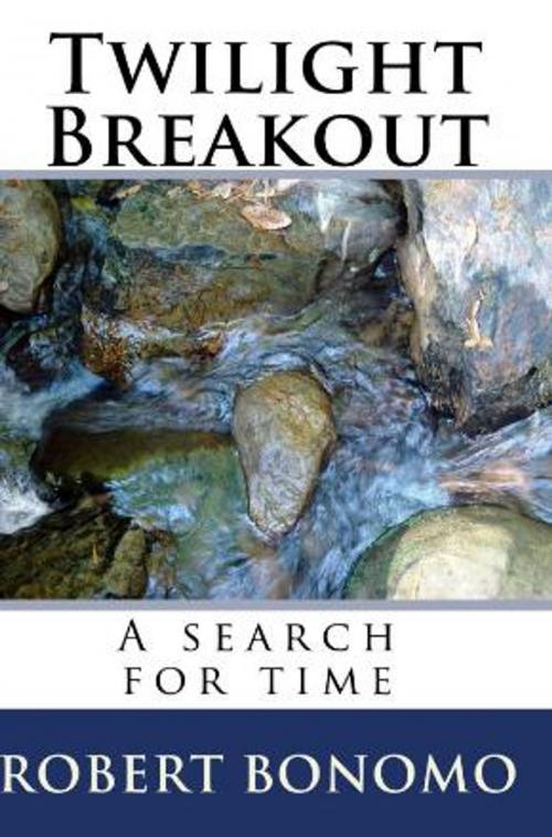 Cover of the book Twilight Breakout by Robert Bonomo, CL Limited