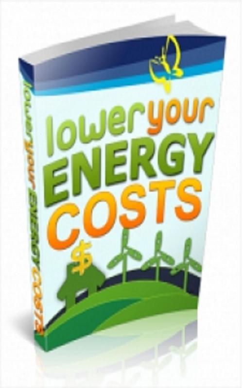 Cover of the book How To Lower Your Energy Costs by Jimmy  Cai, Stark  Publishing